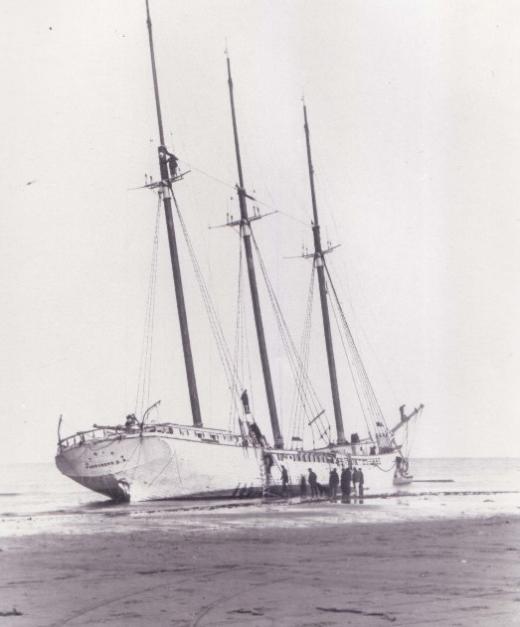 Ulrica