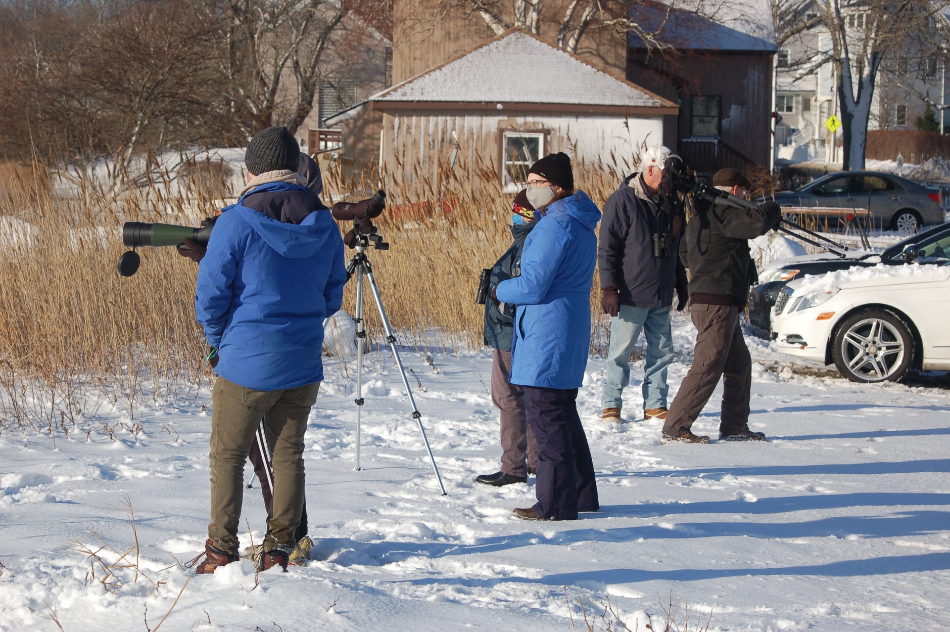 Xmas Bird Count